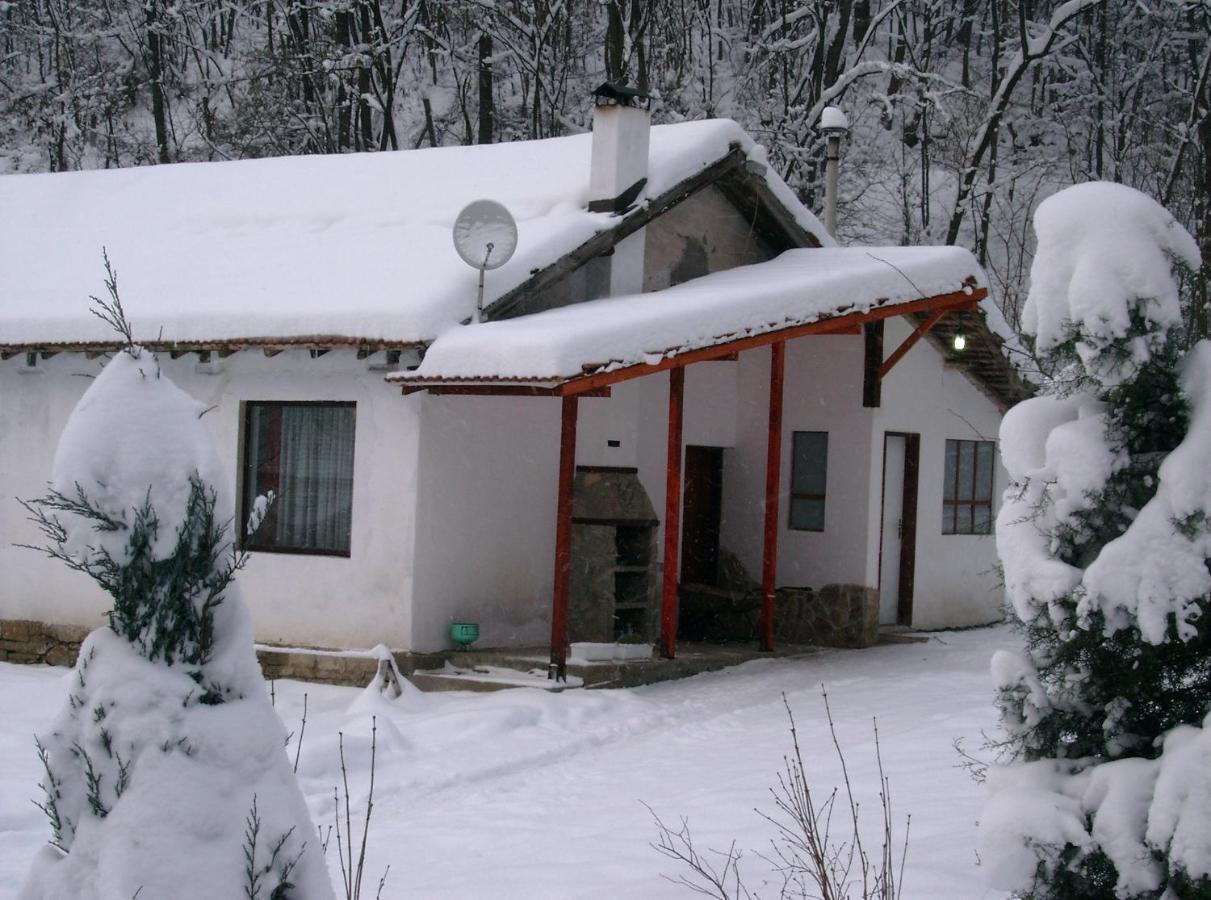 Holiday Home Tanevi Trjavna Exteriör bild